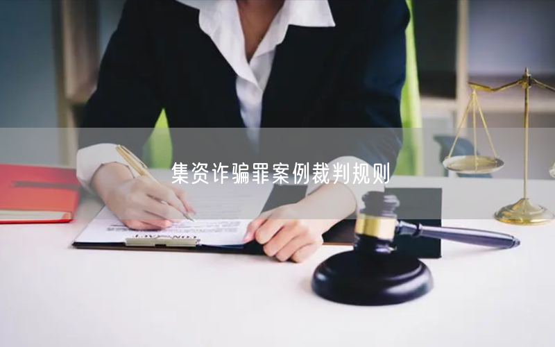 集资诈骗罪案例裁判规则