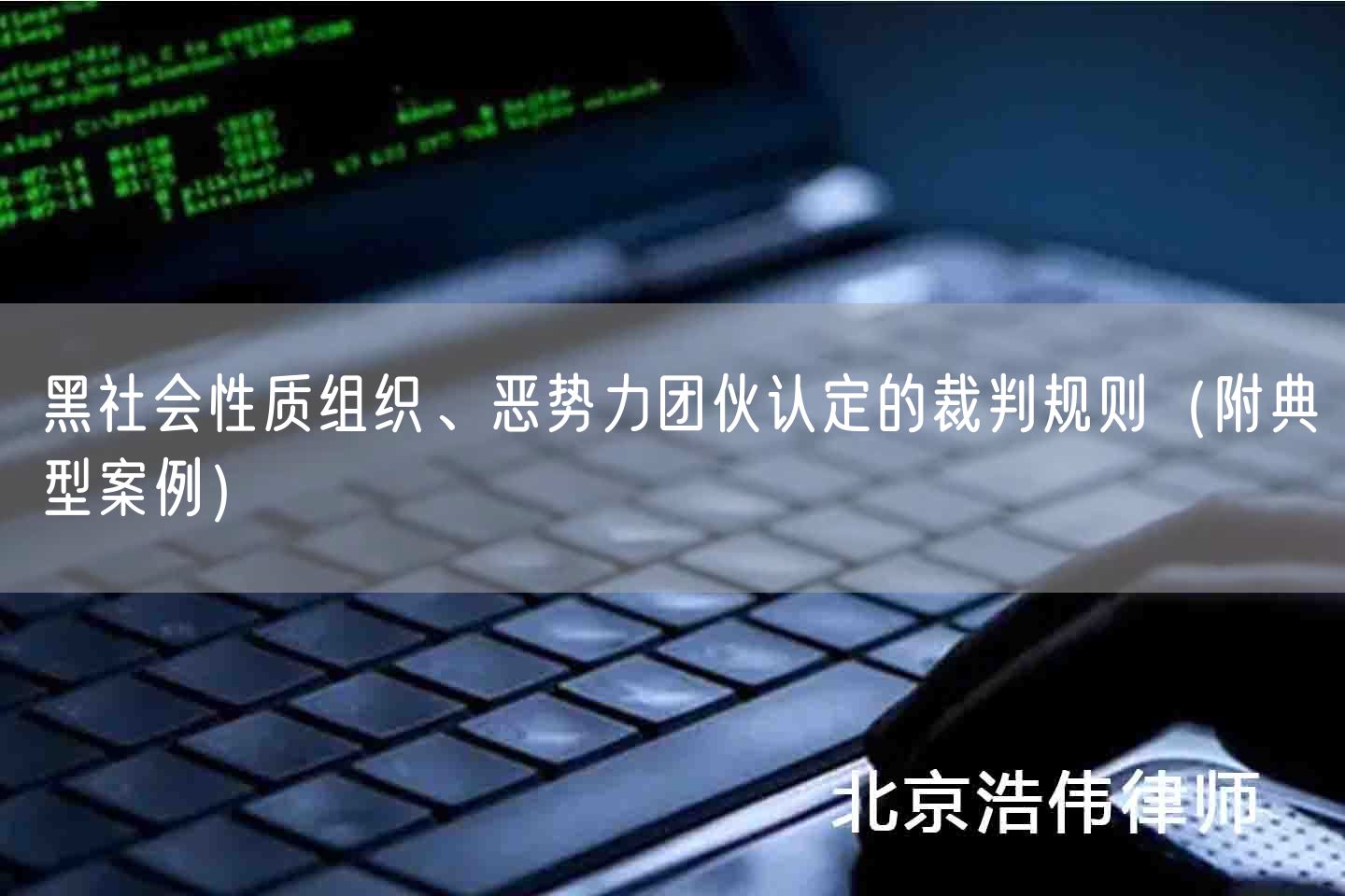 黑社会性质组织、恶势力团伙认定的裁判规则（附典型案例）