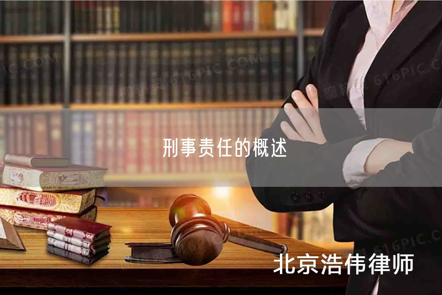 刑事责任的概述(图1)